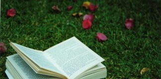 Raphael Andrade lança obra que fala sobre repensar valores Raphael Andrade lança obra que fala sobre repensar valores