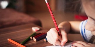 Dia Nacional da Educação: empresas investem no avanço educacional de jovens