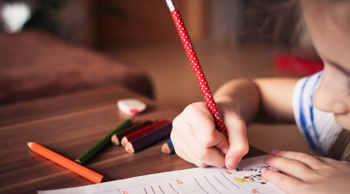 Dia Nacional da Educação: empresas investem no avanço educacional de jovens Dia Nacional da Educação: empresas investem no avanço educacional de jovens