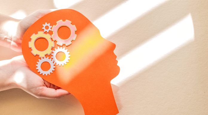 Inventário DISC ajuda a traçar perfil comportamental