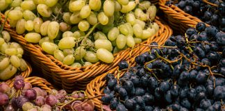 Variedade de uvas afeta sabor e aroma de vinhos