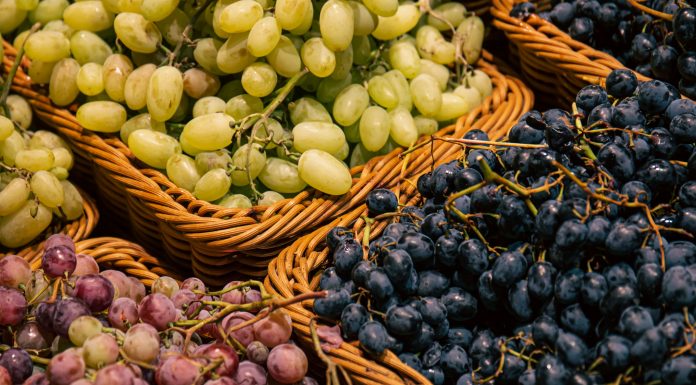 Variedade de uvas afeta sabor e aroma de vinhos