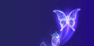 OAT Solutions anuncia mudança de nome para Nimble Evolution