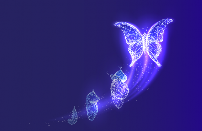 OAT Solutions anuncia mudança de nome para Nimble Evolution OAT Solutions anuncia mudança de nome para Nimble Evolution