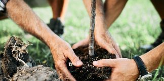 Alcolina Química e Derivados recebe selo neutro de carbono