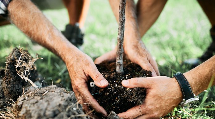 Alcolina Química e Derivados recebe selo neutro de carbono Alcolina Química e Derivados recebe selo neutro de carbono
