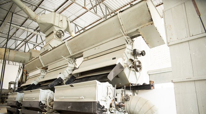 Usina em Ingá vai beneficiar o algodão orgânico da Paraíba