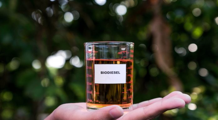Uso do biodiesel gera economia e benefícios ao país