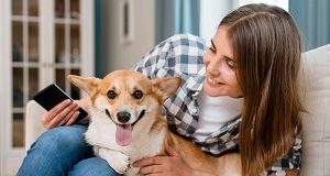 App pet oferece funcionalidades gratuitas para causa animal App pet oferece funcionalidades gratuitas para causa animal