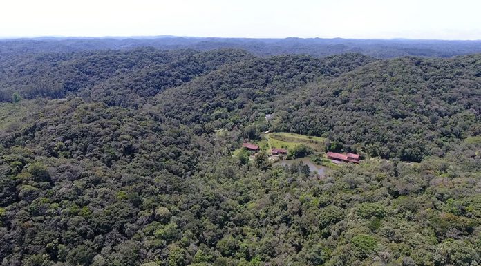 Juquitiba adere à Grande Reserva Mata Atlântica