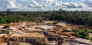USP e IBRAM farão ações conjuntas contra ouro ilegal USP e IBRAM farão ações conjuntas contra ouro ilegal