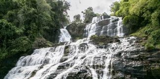 Ecoturismo estimula o desenvolvimento econômico Ecoturismo estimula o desenvolvimento econômico