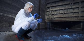 Limpeza de caixa d’água pode prevenir esquistossomose Limpeza de caixa d’água pode prevenir esquistossomose