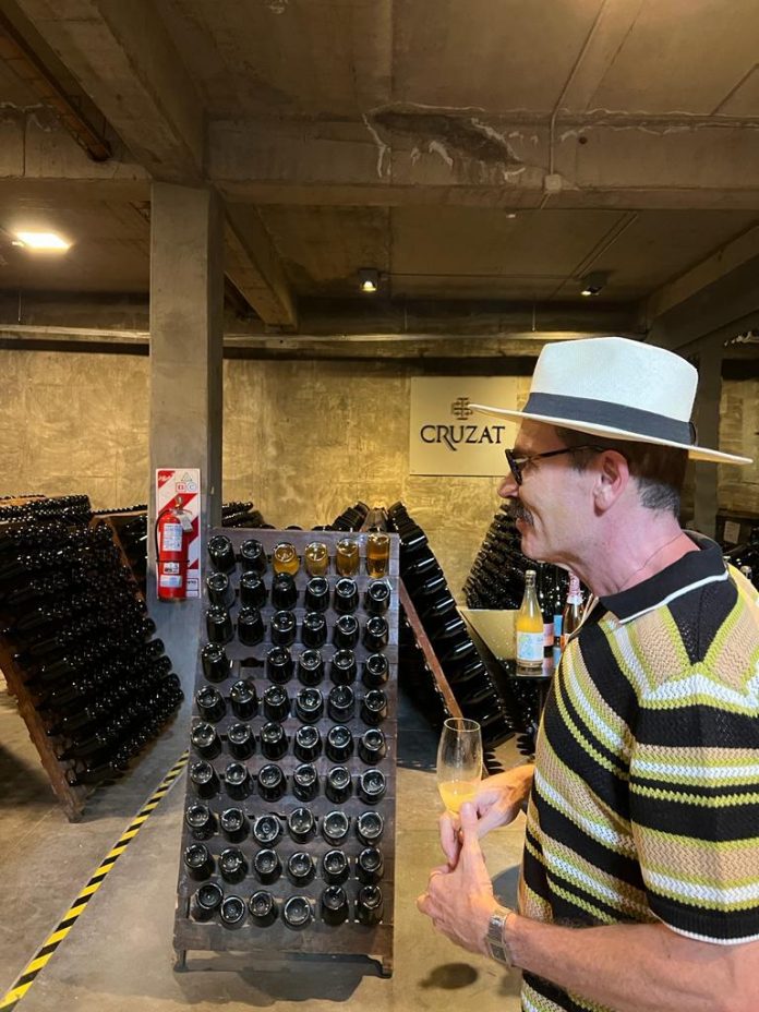 Portugal é um dos maiores países em produção de vinhos Portugal é um dos maiores países em produção de vinhos