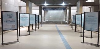 Série de ações marcam o mês do Dia Mundial de Combate à Asma Série de ações marcam o mês do Dia Mundial de Combate à Asma