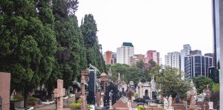 Visitas guiadas no cemitério da Consolação são retomadas de forma ampliada Visitas guiadas no cemitério da Consolação são retomadas de forma ampliada
