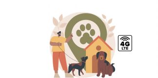 Tecnologia 4G oferece auxílio na localização de pets perdido