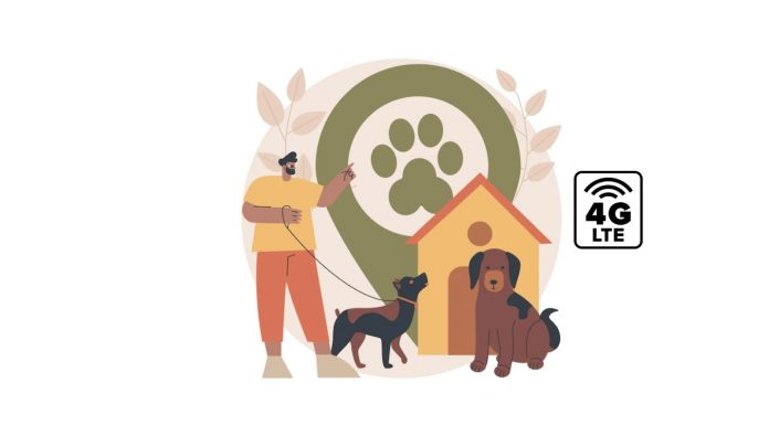 Tecnologia 4G oferece auxílio na localização de pets perdido