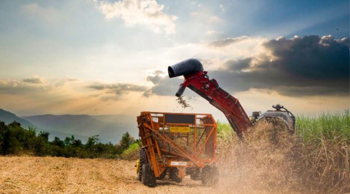 Exportação de máquinas e equipamentos supera US$ 1 bilhão Exportação de máquinas e equipamentos supera US$ 1 bilhão
