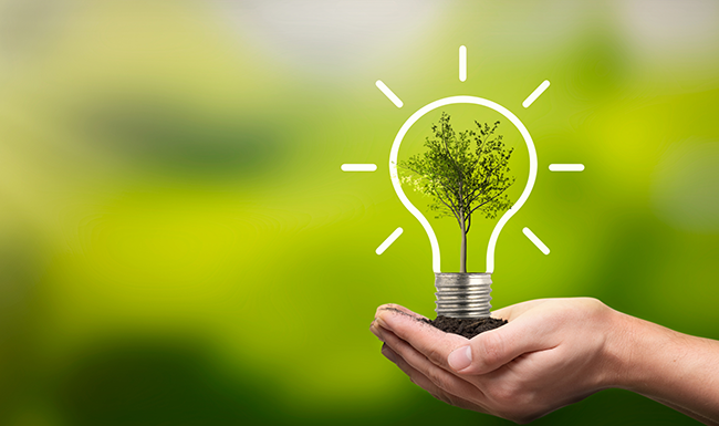 Dia Mundial do Meio Ambiente chama atenção a soluções para poluição plástica