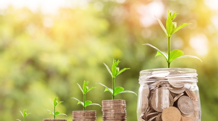 Pesquisa Deloitte IBRI demonstra importância de padronização de indicadores ESG