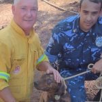 Corpo de Bombeiros de Botucatu resgata cachorro que caiu em erosão em São Manuel