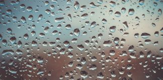 Especialistas dão dicas de como promover o bem-estar e a saúde no ambiente