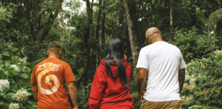 Kayland está de volta ao mercado de vestuário masculino