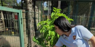 Dicas podem incentivar a consciência ambiental nas crianças Dicas podem incentivar a consciência ambiental nas crianças