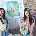 Feira de Ciências promove conhecimento científico em Praça de Botucatu