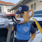 Botucatu: Últimos dias para escolher o nome do mascote do Patrulha da Paz