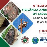 Botucatu: Telefone da Vigilância Ambiental em Saúde agora também é WhatsApp