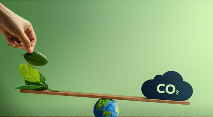 Mercado de carbono: regulamentação pode somar R$ 3 trilhões ao PIB brasileiro