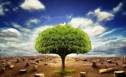 Dia da Sobrecarga da Terra é um alerta para a humanidade Dia da Sobrecarga da Terra é um alerta para a humanidade