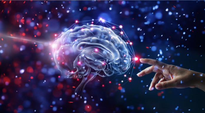 Estudo destaca efeitos da IA nos processos de neurovendas