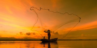 Pesca esportiva ganha destaque no cenário mundial Pesca esportiva ganha destaque no cenário mundial