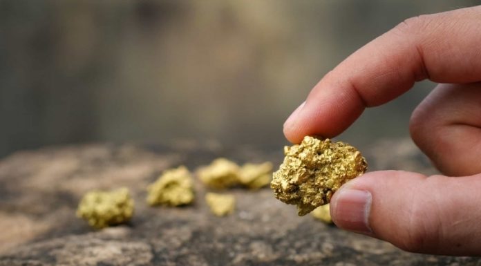 Receita publica os manuais com os leiautes da NF-e Ouro como ativo financeiro