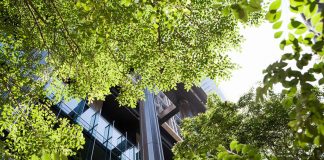 Resultado de pesquisa tem lacunas nas ações de sustentabilidade em TI