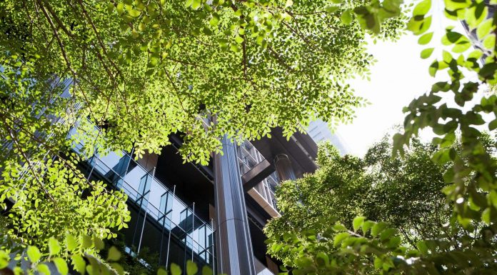 Resultado de pesquisa tem lacunas nas ações de sustentabilidade em TI