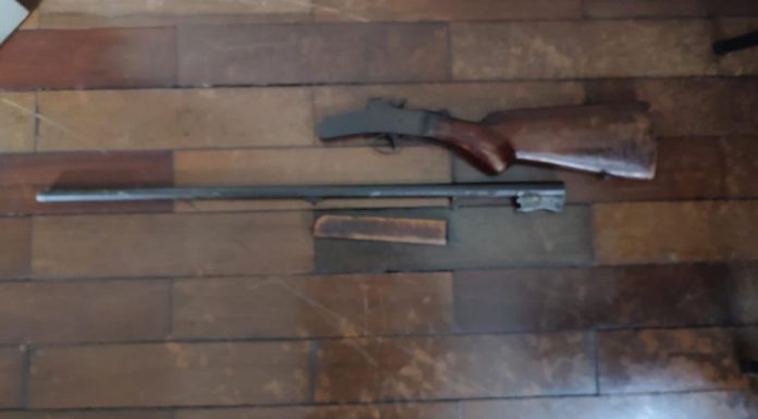 Botucatu: Operação Policial em Vitoriana termina em prisão por posse irregular de arma de fogo
