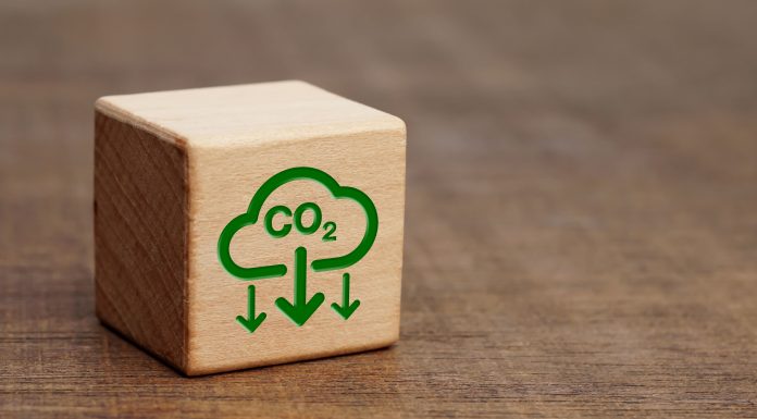 Empresas brasileiras investem na transição energética