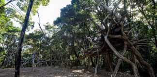 Exposição Cosmogonia Inventada traz obras do artista Rafael Mattos em Altamira Exposição Cosmogonia Inventada traz obras do artista Rafael Mattos em Altamira