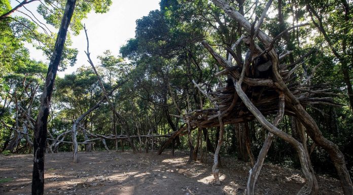 Exposição Cosmogonia Inventada traz obras do artista Rafael Mattos em Altamira