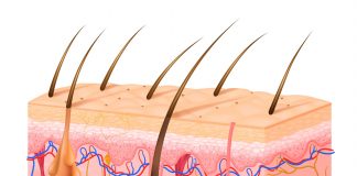 Osório de Moraes investe no segmento da queda capilar