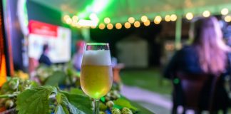 Sustentabilidade: Grupo Petrópolis alcança metas ASG Sustentabilidade: Grupo Petrópolis alcança metas ASG