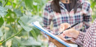 Tecnogera apresenta soluções para o agro na Bahia Farm Show