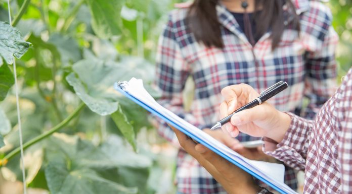 Tecnogera apresenta soluções para o agro na Bahia Farm Show