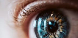 Catarata é responsável por mais de 50% dos casos de cegueira no mundo Catarata é responsável por mais de 50% dos casos de cegueira no mundo