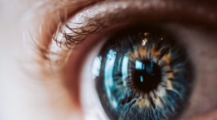 Catarata é responsável por mais de 50% dos casos de cegueira no mundo