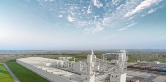 Greenplac completa 5 anos e projeta crescimento Greenplac completa 5 anos e projeta crescimento